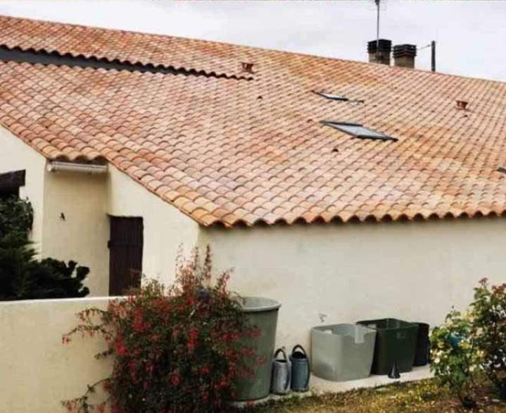 Nettoyage de tuiles Poitou Charentes