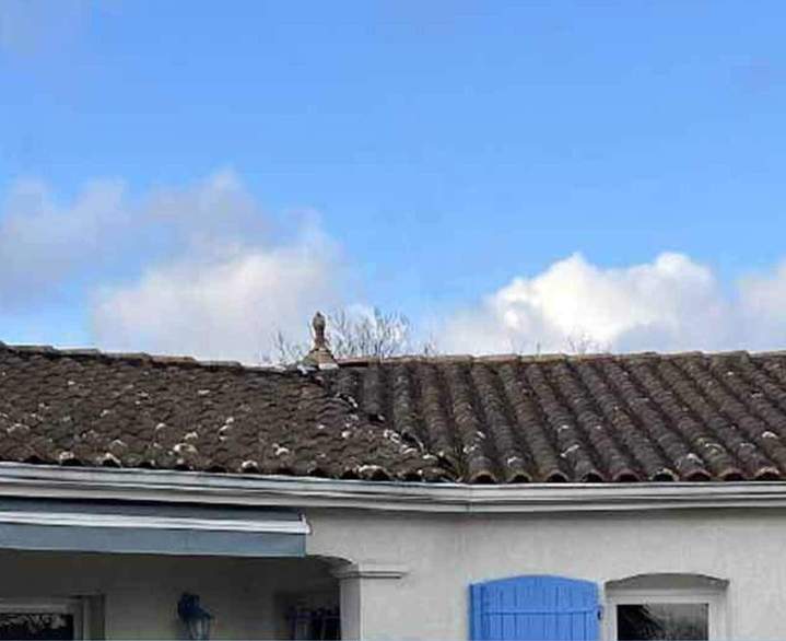 Traitement anti mousse toiture Poitou Charentes