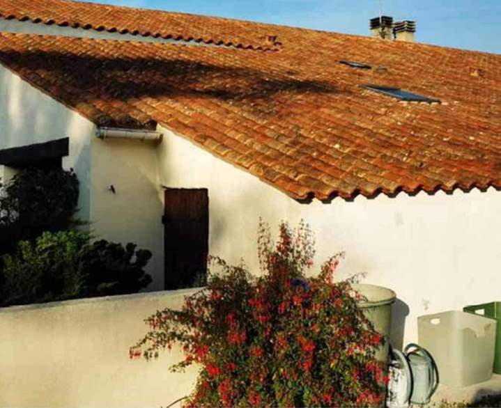 Traitement hydrofuge toiture Poitou Charentes